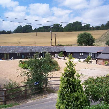 Five Cottages In Aonb And A Hobbit House! Canterbury Exterior foto